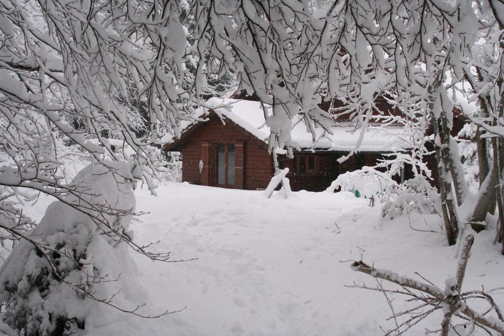 סן-סרג Chalet Ott - Apartment In The Mountains With Sauna חדר תמונה